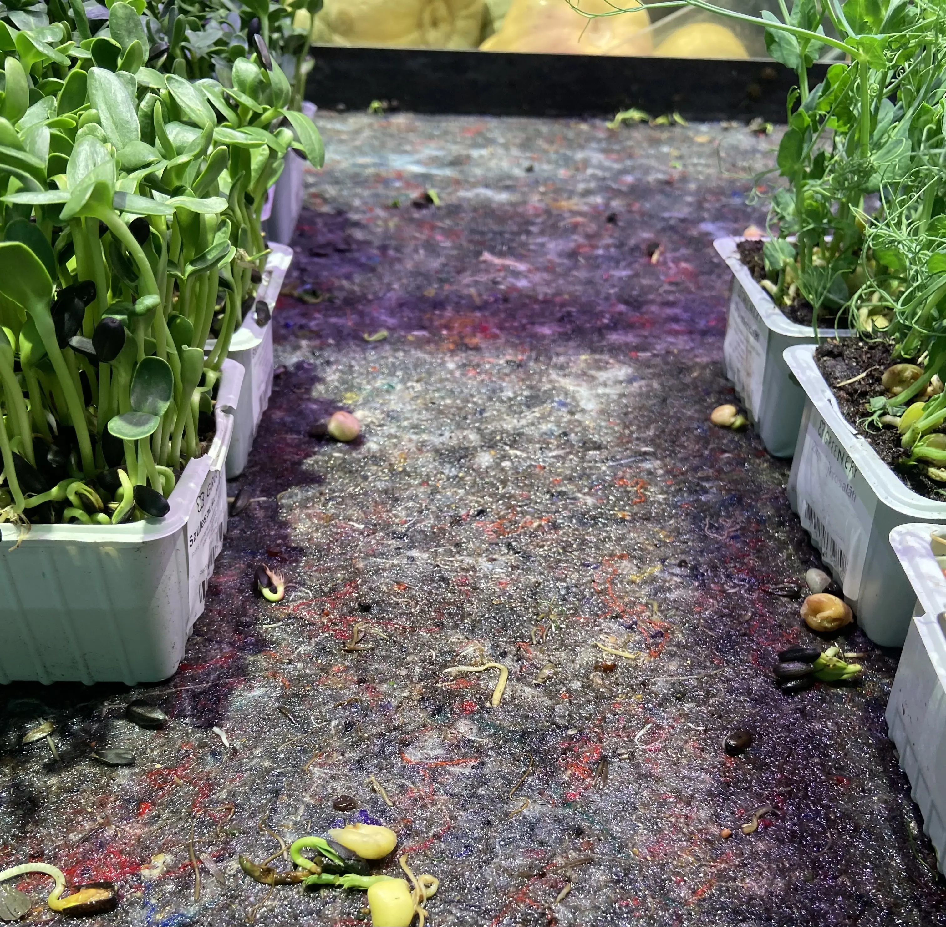 Irrigation mats